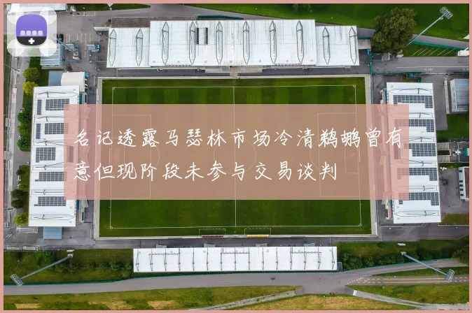 名记透露马瑟林市场冷清鹈鹕曾有意但现阶段未参与交易谈判
