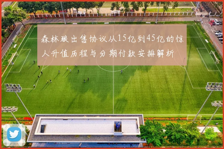 森林狼出售协议从15亿到45亿的惊人升值历程与分期付款安排解析