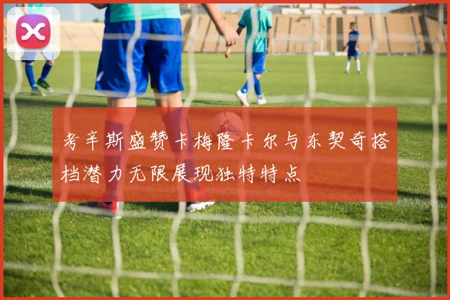 考辛斯盛赞卡梅隆卡尔与东契奇搭档潜力无限展现独特特点