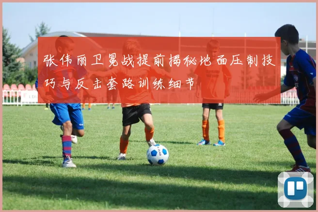 张伟丽卫冕战提前揭秘地面压制技巧与反击套路训练细节