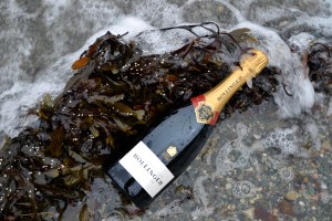 Bollinger Spécial Cuvée, Brut