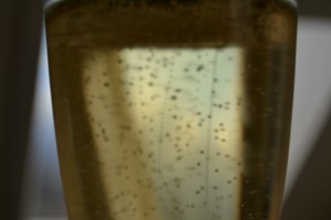 Bobbles in Claude Cazals Blanc de Blancs Grand Cru Cuvée Vive,  Extra Brut 